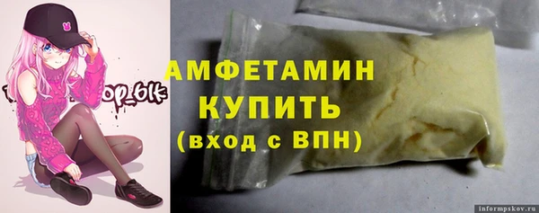 прущие грибы Медвежьегорск