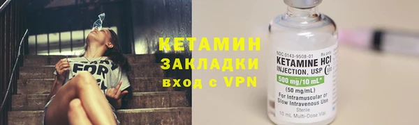 прущие грибы Медвежьегорск