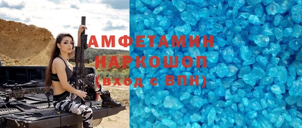 прущие грибы Медвежьегорск