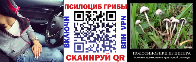 Псилоцибиновые грибы Magic Shrooms  кракен ONION  Электросталь  как найти закладки 